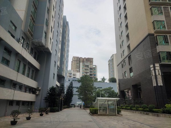 【多图】裕盛华庭,沙井租房,一手对接业主,深圳11号线马安山地铁口(裕