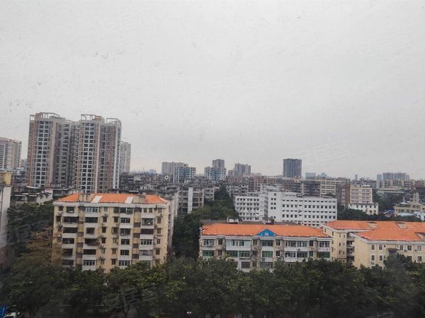 【多图】佳信花园,赤岗租房,佳信花园 温馨两房 南向高层 采光极好