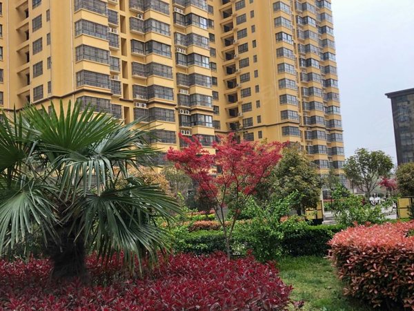 【多图】紫境城,三桥租房,房源采光好,南北通透,业主诚意出,未央租房