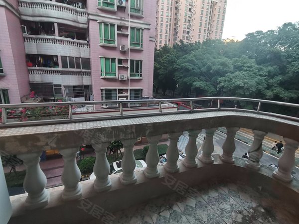 【多图】第一金碧花园,工业大道南租房,石溪地铁口租房 大阳台 南北通