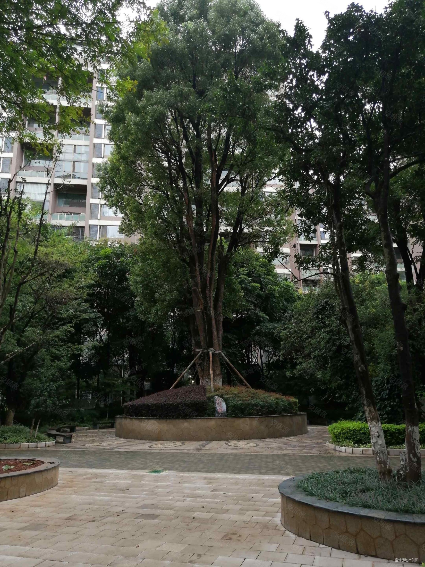 北京路地铁口高品质小区中空大跃层金江小区南北通透