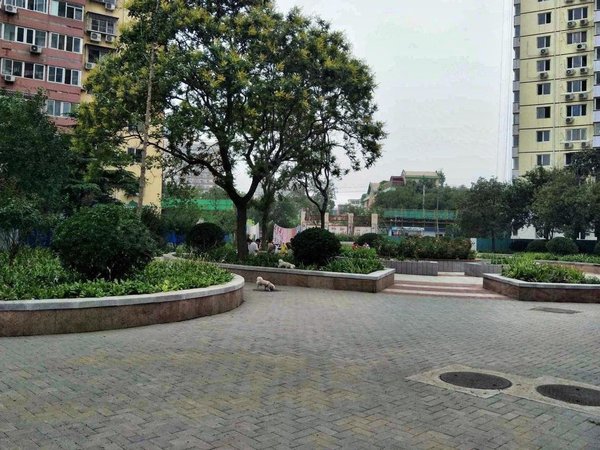 北京石景山八角八角中里1号线 八角游乐园 古城 温馨单间 随时看房 包