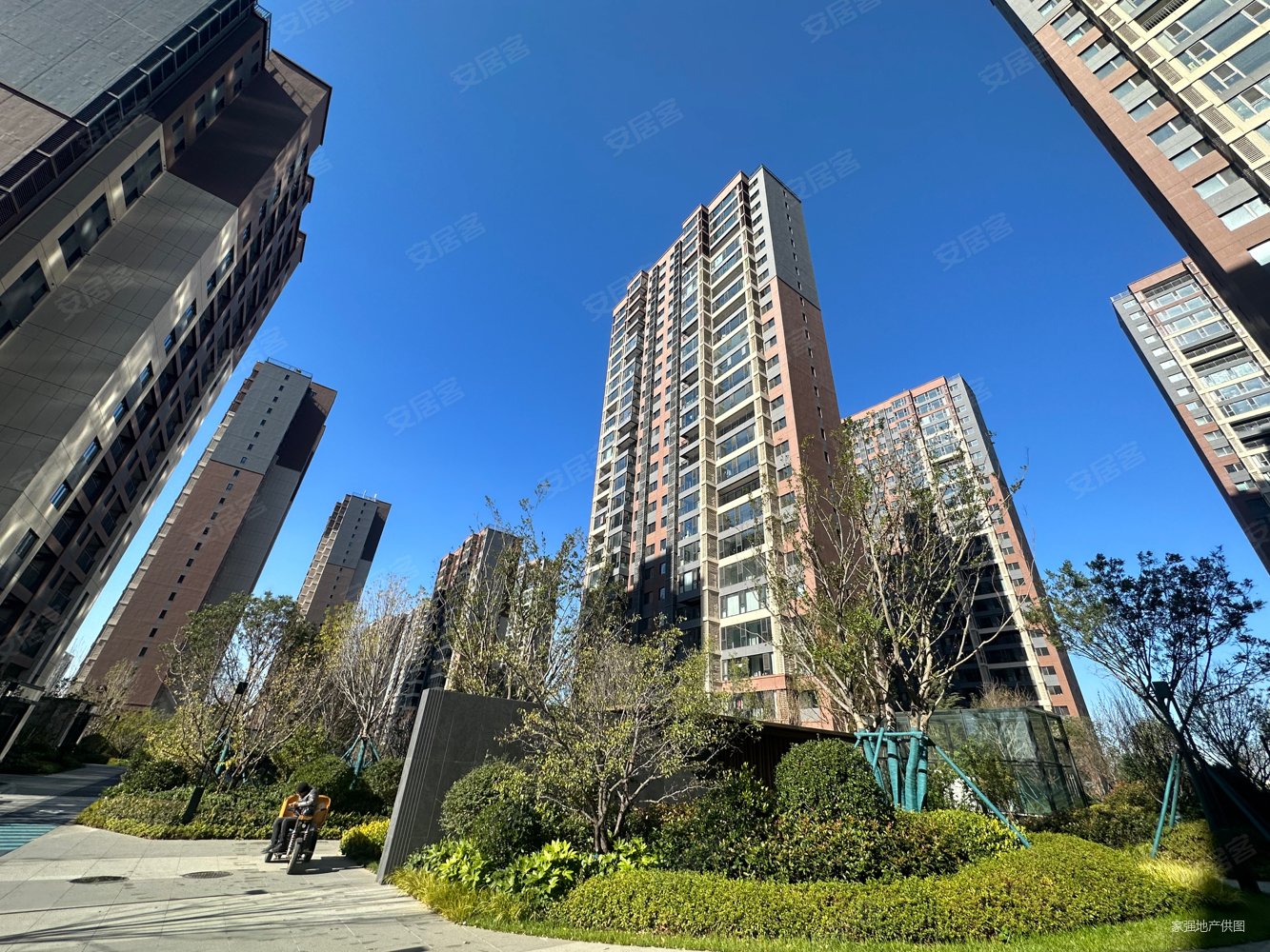 海岸万科城6号地块枫桦里