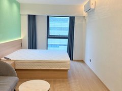 宜宾叙州南岸东区整租 莱茵春天商业中心南客站万达广场长江公园宜宾映像汇 南岸出租房源真实图片