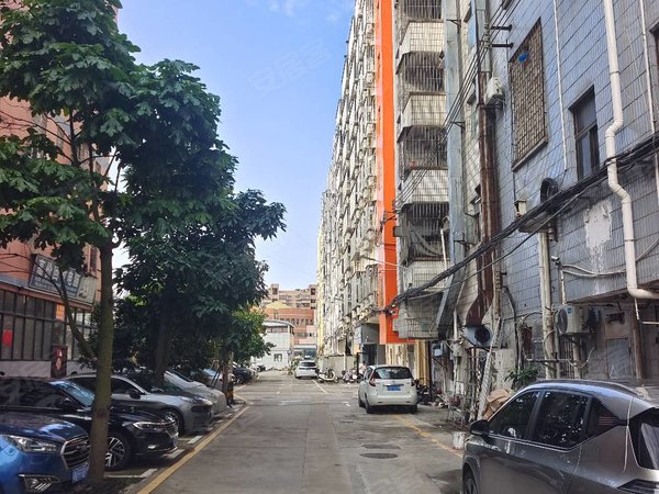 深圳安居客>深圳租房>龙岗租房>同乐租房>兴东大街自建房>兴东大街自