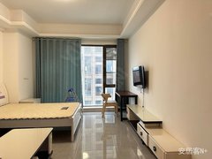 武汉蔡甸恒大绿洲中国健康谷健康新天地 1室1厅1卫  电梯房 精装修43平米出租房源真实图片