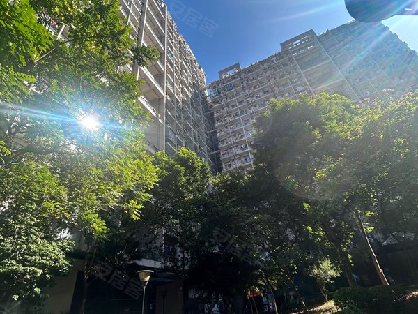 深圳龙岗平湖华南西苑华南西苑两房出租民水民电天然气带阳台出租房源