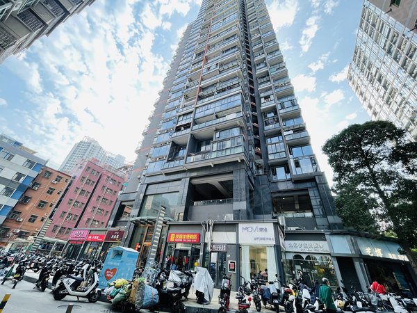 【多图】嘉葆润金座,新洲租房,新洲片区一房一厅 南北通透 采光好