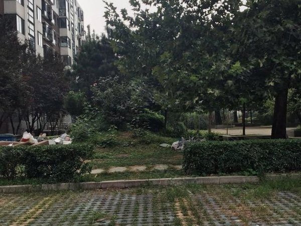 【多图】蓝郡国际花园,昌平县城租房,蓝郡 南向采光好 舒适 干净整洁