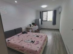 上海杨浦东外滩新出装修好的一室一厅，看房方便出租房源真实图片