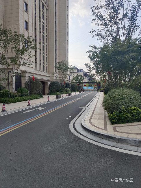 三恒系统金茂府滨湖名邸开发商精装恒温恒湿恒氧长寿的好房