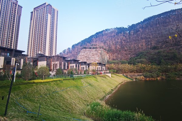 广州小区 南沙小区 黄阁小区 万科白鹭郡花园