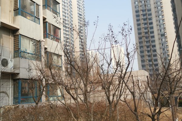 文博城,西港路-秦皇岛文博城二手房,租房-秦皇岛安居客