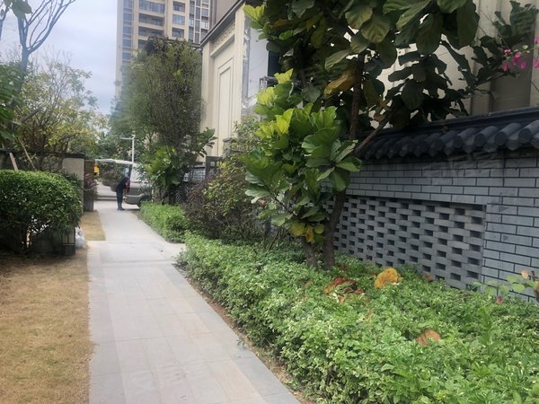 泉州晋江紫帽山世茂紫茂城(别墅)清濛周边紫帽晋博坊旁精装别墅出租可