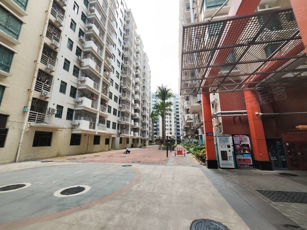 深圳龙华梅林关口鑫海公寓(龙华)白石龙一房一厅空房,物业直租,不低价