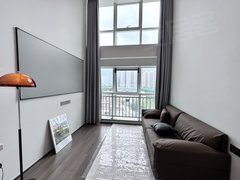 佛山南海金融高新区美式复古ins风 电梯直达 洗烘一体 可养宠物 近地铁出租房源真实图片