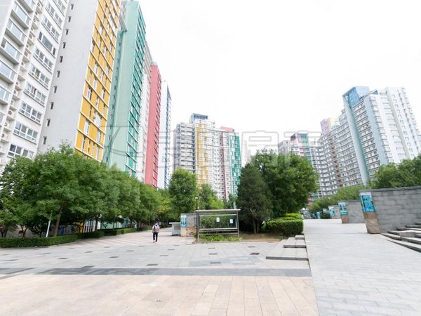 【多图】宝星园,望京租房,望京 宝星园 soho 麒麟社 融科橄榄城