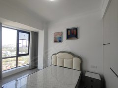 株洲芦淞大汉希尔顿市中心 大汉希尔顿 精装公寓，家电齐全，随时入住出租房源真实图片