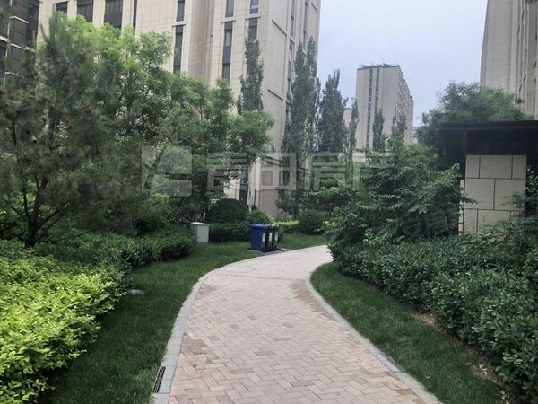 北京大兴亦庄金茂逸墅高楼层   空房出租  南北通透 3室2厅  金茂逸墅