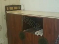 晋中榆次中都广场新兴君豪国际公寓 8室1厅8卫出租房源真实图片