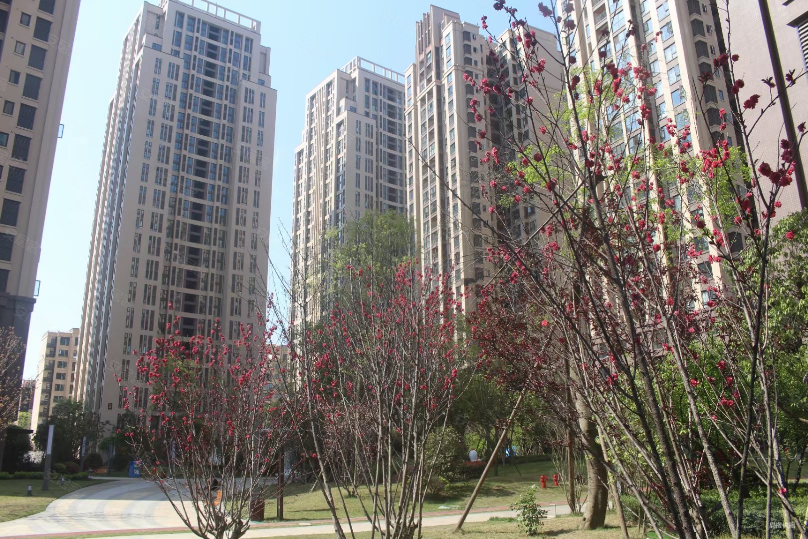 精装套三,合能枫丹铂麓一期二手房,165万,3室2厅,1卫,76平米-成都安居