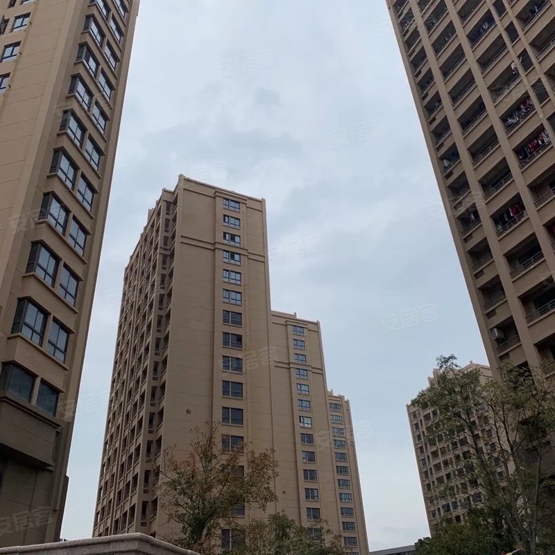 【德信东宸里, 德信东宸里小区详情,房价走势,房源,业主论坛】- 温州