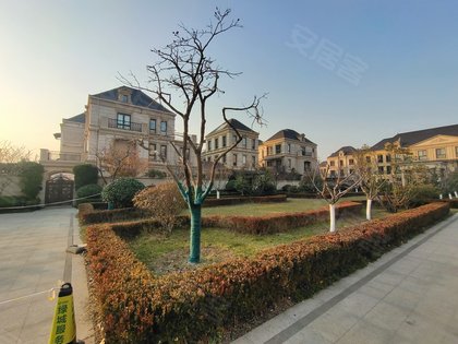 理想之城玫瑰园