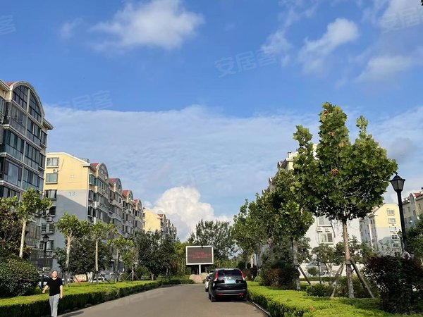 青岛即墨西元庄云桥花苑通济实验中学 云桥花园 信和居 怡景嘉苑附近