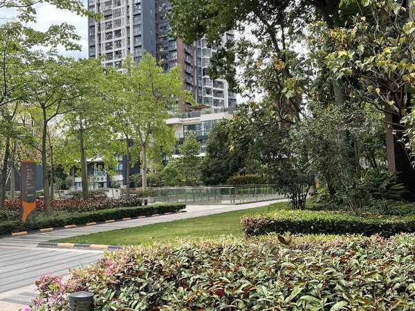 【多图】龙华花半里,清湖租房,花半里三房两卫,南向安静,楼层佳,采光