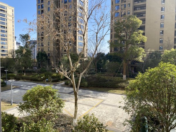 杭州临安临安城区城中府城中府朝南带阳台单身公寓出租房源真实图片