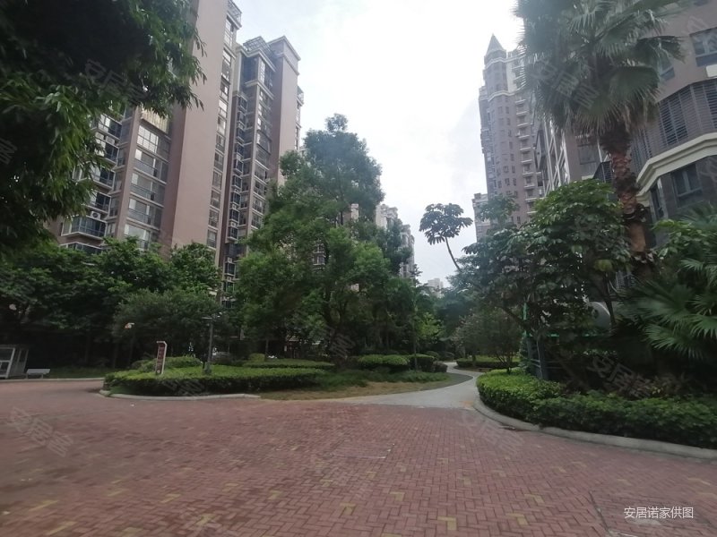 国际华城 满五   高楼层视野无遮挡 产权清晰 双卫