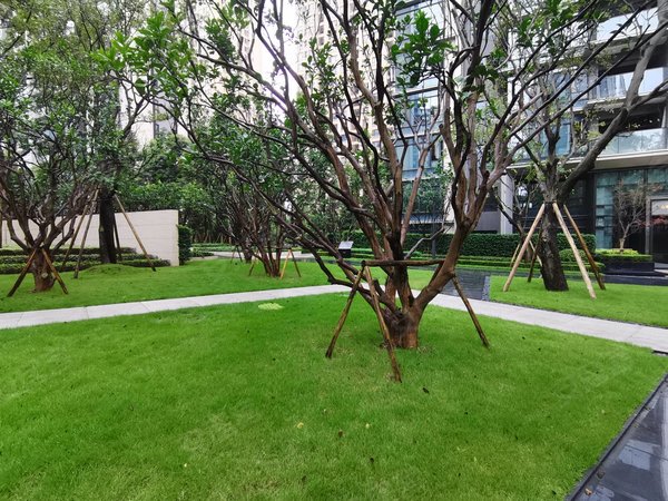 重庆渝北照母山万科御澜山照母山万科御澜山精装洋房 靠公园 家具家电