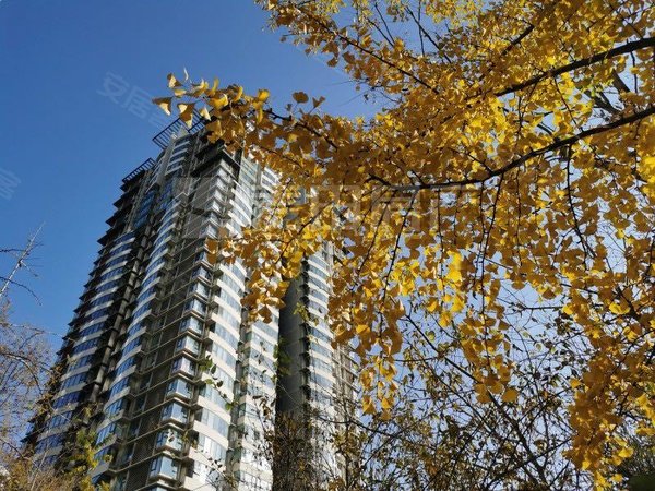 【多图】东恒时代(一期),四惠租房,东恒时代(一期) 1室1厅1卫 59平