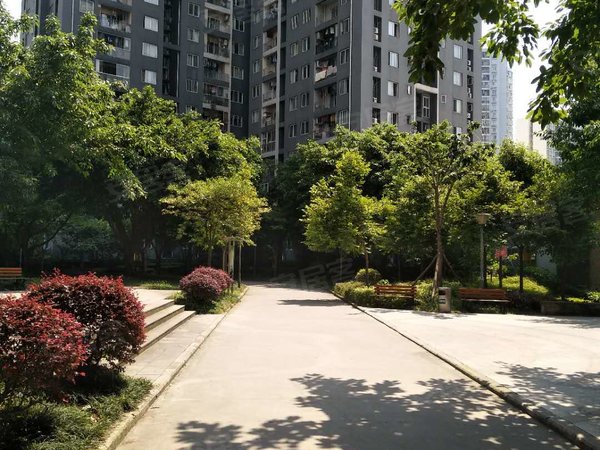 重庆渝北冉家坝太阳园冉家坝地铁站旁 太阳园精装小两室 随时看房出租