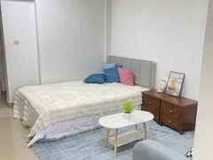郑州二七政通路升龙国际 大润发 花卉市场 人和路小学海为科技园市二院地铁口出租房源真实图片