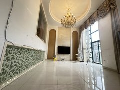 合肥蜀山黄潜望新粮仓旁 置地广场 精装维也纳森林花园别墅带院子 办工住家出租房源真实图片