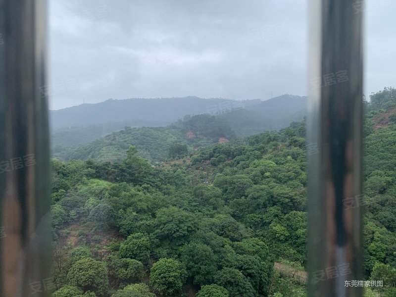 东南朝向 环境优美 有电梯 商品房 装修好 交通便利,御景花园二手房