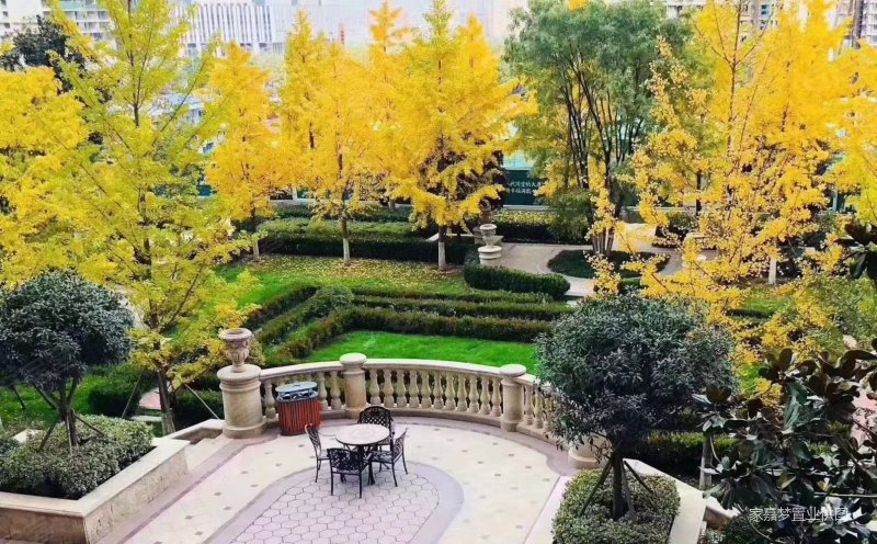 西安房产网>西安二手房>曲江新区二手房>创意谷二手房>海德堡park>800