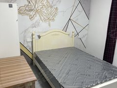 镇江丹徒宝龙广场宜城小学旁边宜东新装修小主卧出租房源真实图片