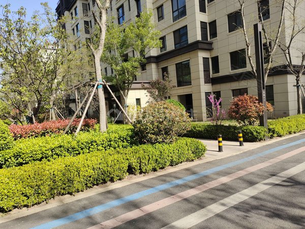 青岛莱西水集天泰公园壹号高档小区天泰公园一号出好房子了哈拎包入住