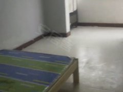 阜阳太和人民中路黉福二区 2室1厅1卫出租房源真实图片