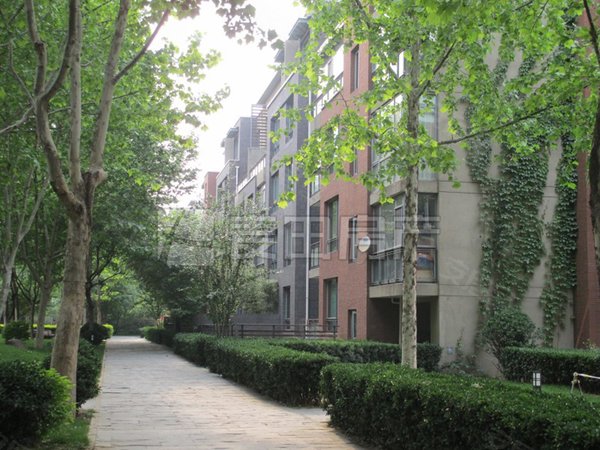 【多图】西山庭院,马连洼租房,精装修三居室 随时起租 看房有钥匙