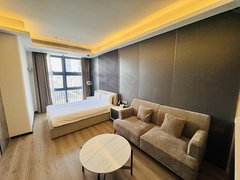 深圳福田福田口岸福田口岸奢华一房急租 押一付一 民水民电家私齐全拎包入住出租房源真实图片