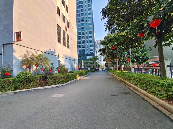 南宁江南星光大道天元国际天元国际 1室1厅1卫 210平 精装修 南北通透