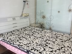 马鞍山花山幸福广场七中印象汇附近师苑新村整租两房,中间楼层!出租房源真实图片