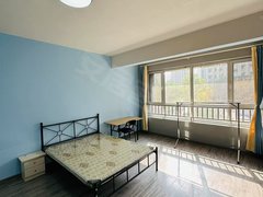 银川贺兰海亮纯女生!天鹅湖小镇 绿地21城 海亮德胜 君临天下单间出租出租房源真实图片
