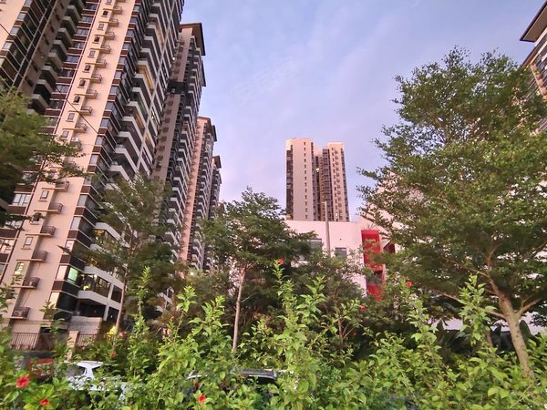 【多图】大塘郡府,安吉租房,万达商圈小区 精装两房配齐拎包入住 天然