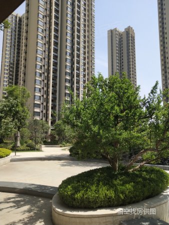 内部员工房源急售, 绿地公园城二手房, 2室1厅1卫, 93万元 - 郑州58