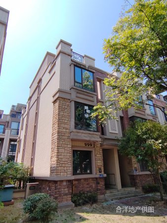 长沙房产网>长沙二手房>望城二手房>普瑞大道二手房>盈峰翠邸(别墅)>