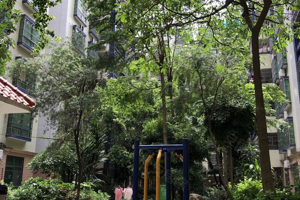 惠州小区 博罗小区 园洲小区 东洲花园